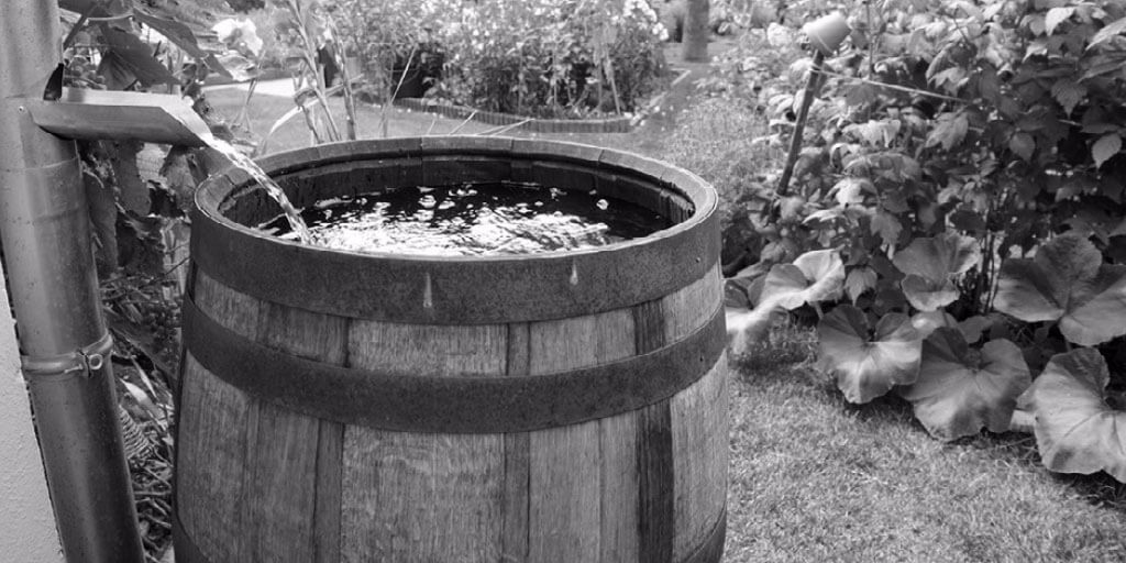 Eco-Friendly Landscaping Saves Energy