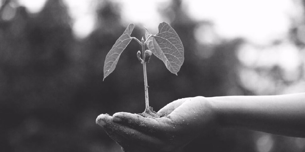 Reduce Your Carbon Footprint