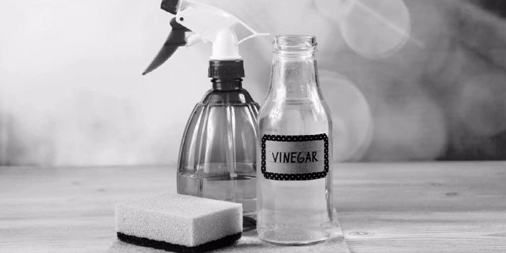 10 Ways to Use Vinegar in Your Home