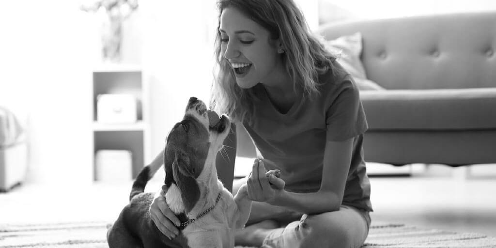 Ensuring Your Home is Pooch Perfect