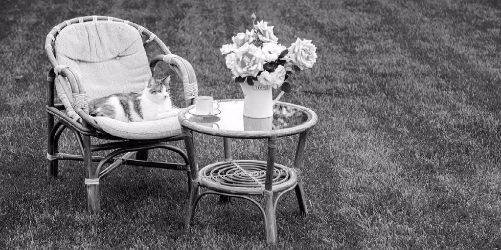 Four Ways to Create a Cozy Backyard on a Budget