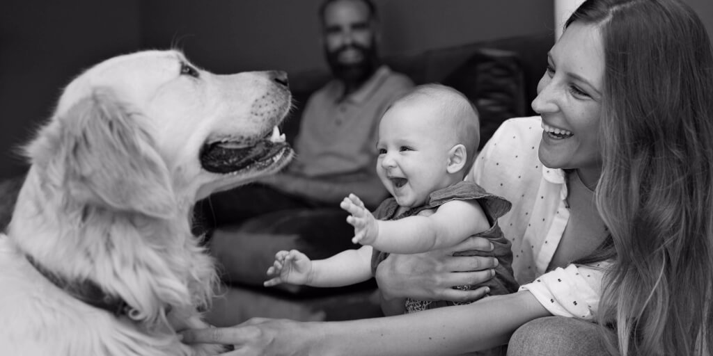 A laughing woman in a white polka-dot shirt and blue jeans crouches on the floor in front of a friendly golden retriever and holds a young baby on her knee, who is also laughing and reaching for the dog, as a smiling bearded man looks on from the background.