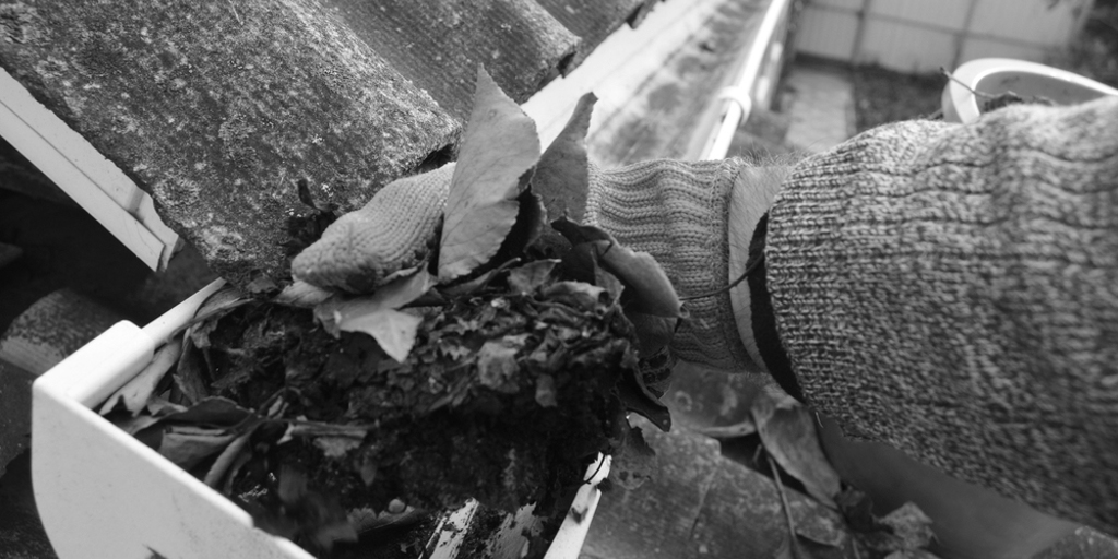 Damages Your Gutters Can Sustain from Leaf Buildup 