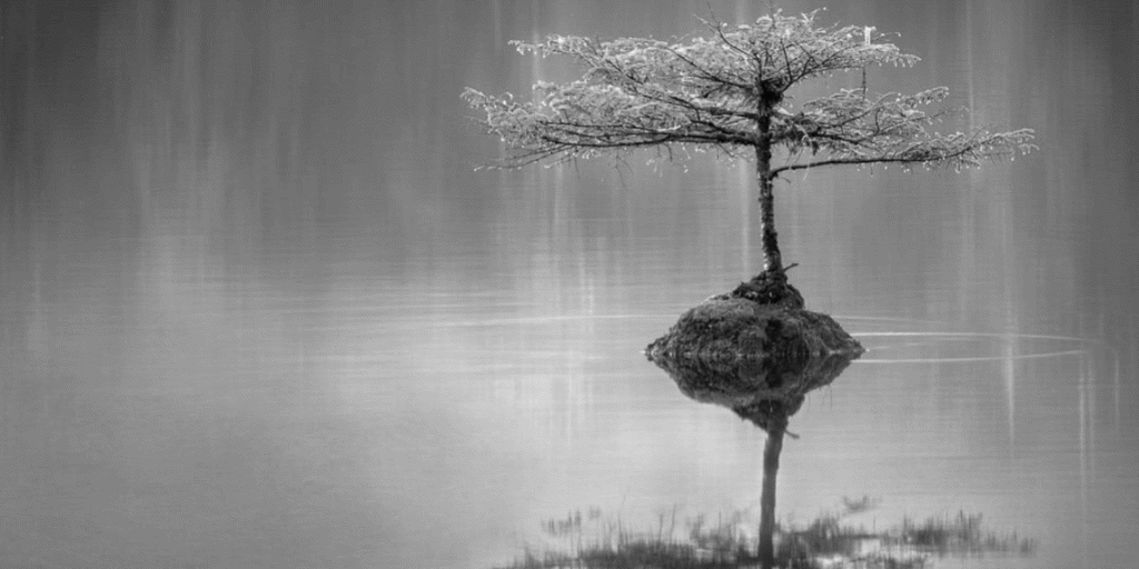The 7 Habits of Serenity
